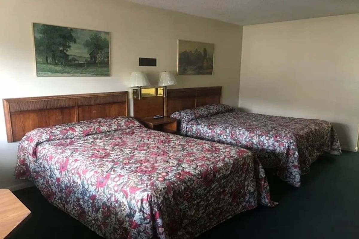 Habitació d'hotel amb dos llits, un panell de fusta al capçal, una tauleta de nit amb làmpades i dos quadres penjats a la paret.