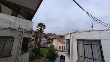 Un patio con una palmera, un pequeño jardín y vistas a un paisaje montañoso.
