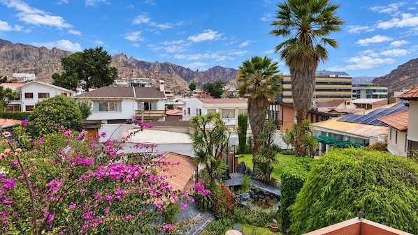 A residential area with houses, a large palm tree, and mountains in the background. - Hotel Calacoto (La Paz)