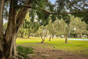 Ein Park mit ausgewachsenen Bäumen, einer Rasenfläche und einem Basketballplatz.