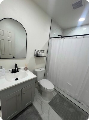 A bathroom with a white sink, a toilet, a shower curtain, and a mirror. - Cozy 1 bedroom studio in lovely Brandon with AC (Brandon)