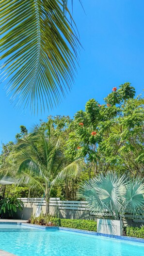 A clear blue sky, a swimming pool with blue tiles, and various tropical plants including palm trees and a tree with red flowers. - The Snapdragon Courtyard Garden (Montego Bay)