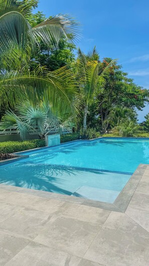 A swimming pool with clear blue water, surrounded by lush greenery and palm trees. - The Snapdragon Courtyard Garden (Montego Bay)