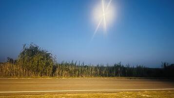 A clear sky with a bright sun, a road, and a grassy area with tall grasses.