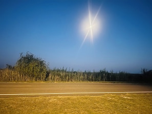 Cel clar amb sol radiant, carretera i zona enjardinada amb herba alta.