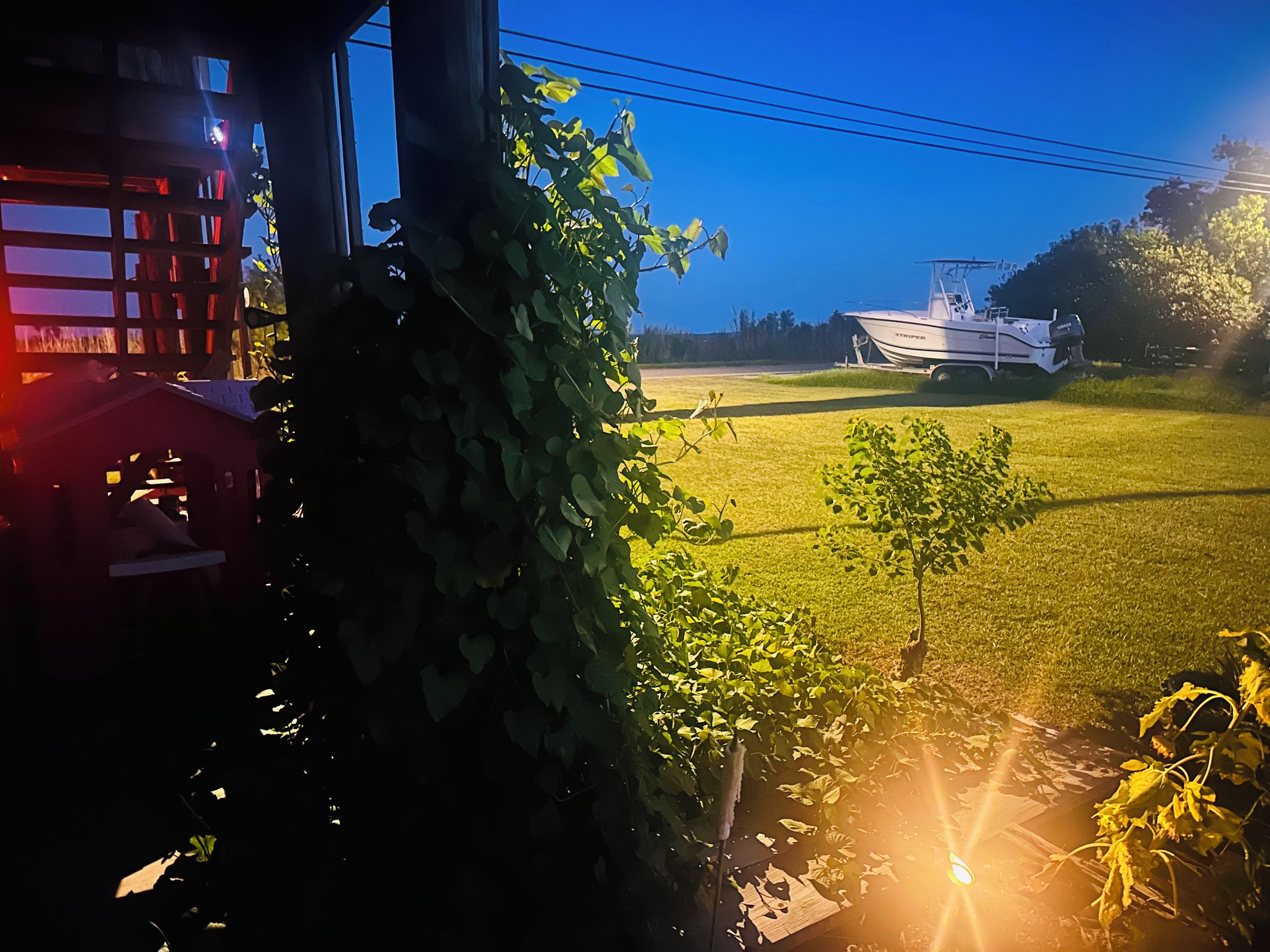 A view through a window with a boat on a grassy field, a building with a red roof, and a tree with green leaves.