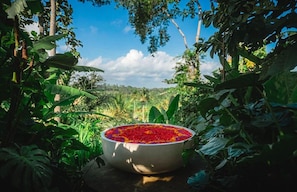 A bowl filled with colorful flower petals placed outdoors surrounded by lush greenery. - Kayun Sidemen (Sidemen)