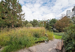Terrein van de accommodatie