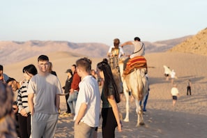 Un grupo de personas en un paisaje desértico, con camellos y jinetes al fondo.