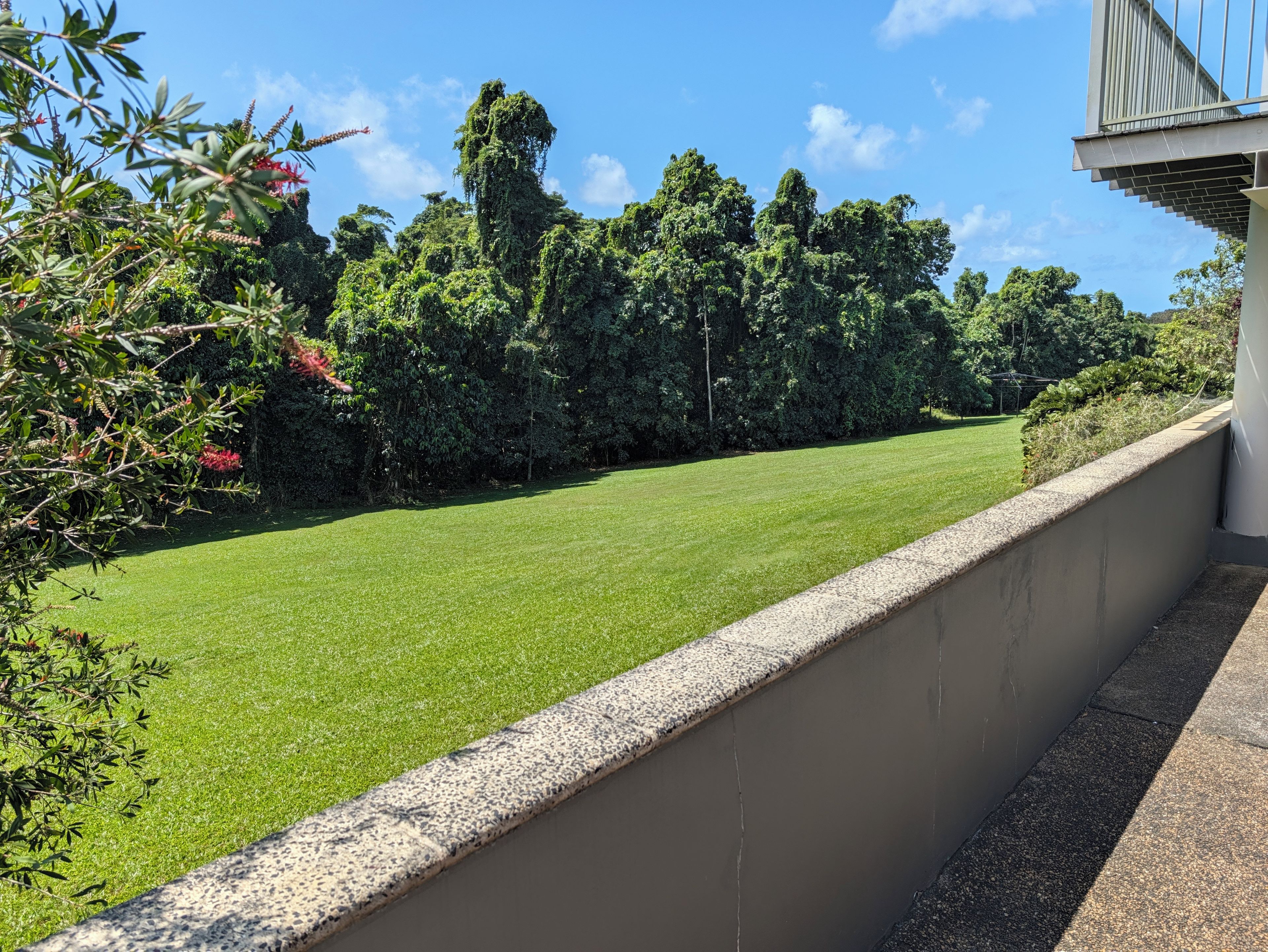 A well-maintained lawn with a stone wall and dense trees in the background.