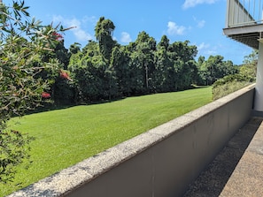 A well-maintained lawn with a stone wall and dense trees in the background.