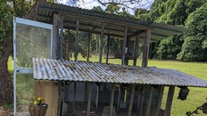 A rustic wooden structure with a corrugated metal roof, surrounded by a wire mesh enclosure, set in a lush green landscape. - Songbird Escape (Mission Beach)