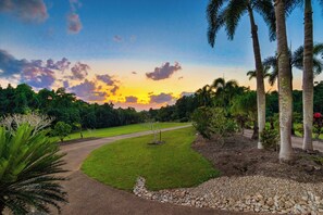 A landscaped garden with a pathway, palm trees, and a variety of shrubs.
