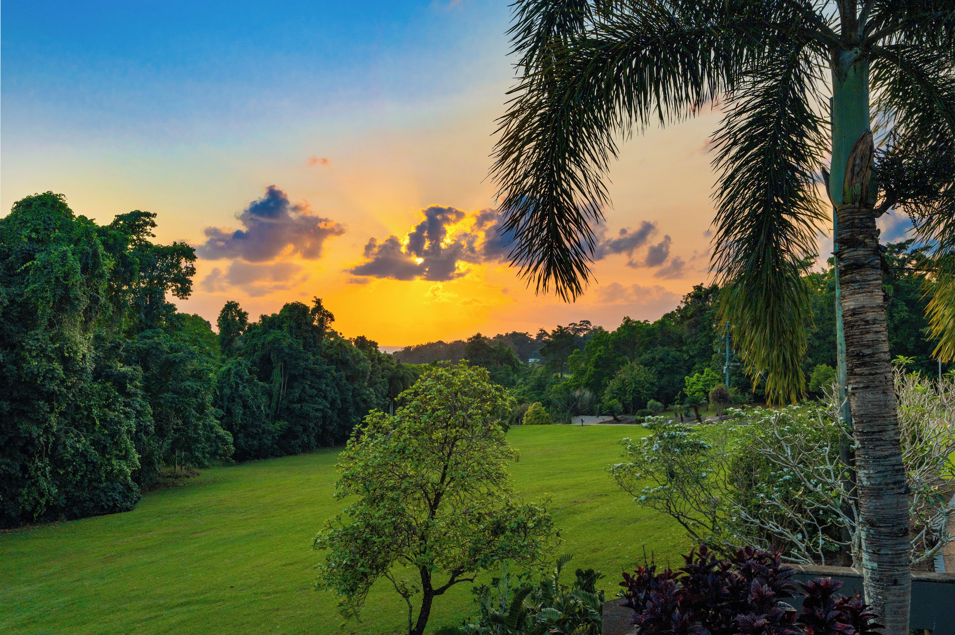 Garden view