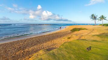 Une plage avec un rivage sablonneux, un ciel dégagé et des palmiers.