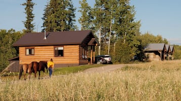A wooden cabin with a porch, a horse, and a car parked nearby.