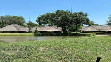 A grassy area with a pond, surrounded by thatched-roof structures.