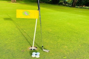 Una buca da golf con una bandiera, un bastoncino segnalino e delle palline da golf.