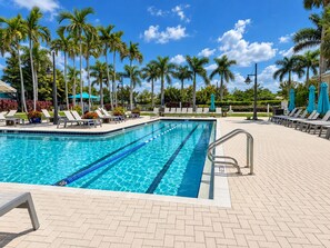 A swimming pool with lounge chairs and umbrellas, surrounded by palm trees. - Lakeview Villa 2-bedroom 2 Bath plus den - pool! (Naples)