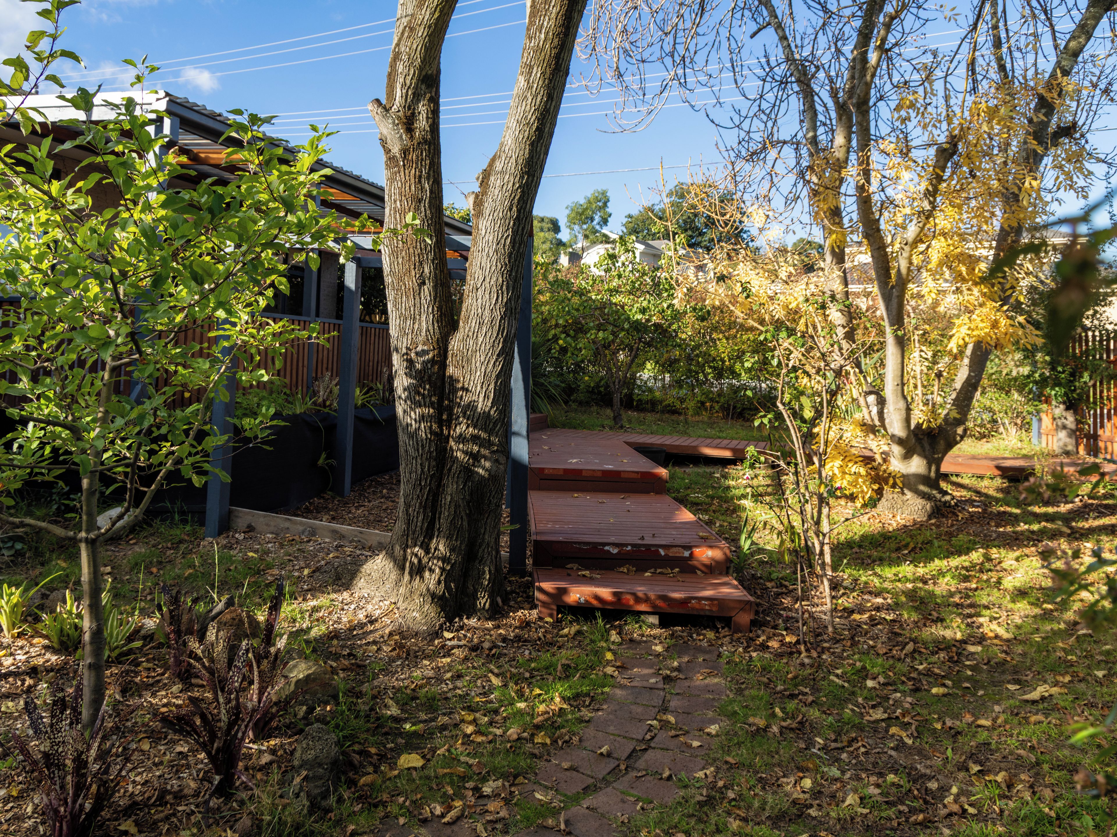 Un jardín con terraza de madera, árboles y un sendero.
