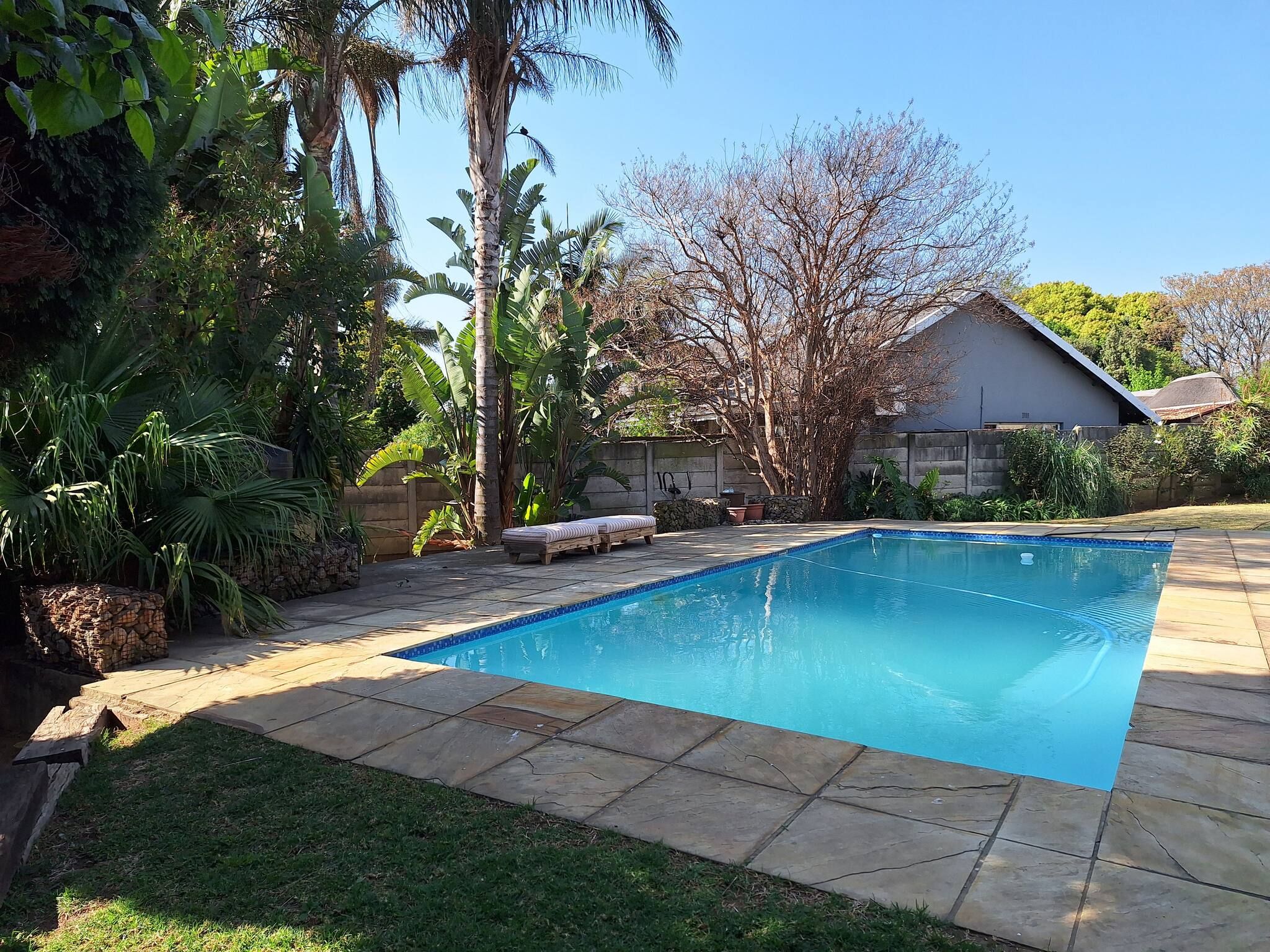 A rectangular swimming pool with a tiled edge, surrounded by a stone patio. There are lounge chairs and a stone wall in the background.