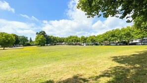 A grassy park area with trees and houses in the background. - Homely 1BR in Central Vancouver | 5mins walk to skytrain, 10 mins to DT (Vancouver)