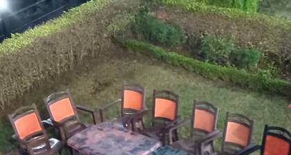 Sundew N Lake Homestay