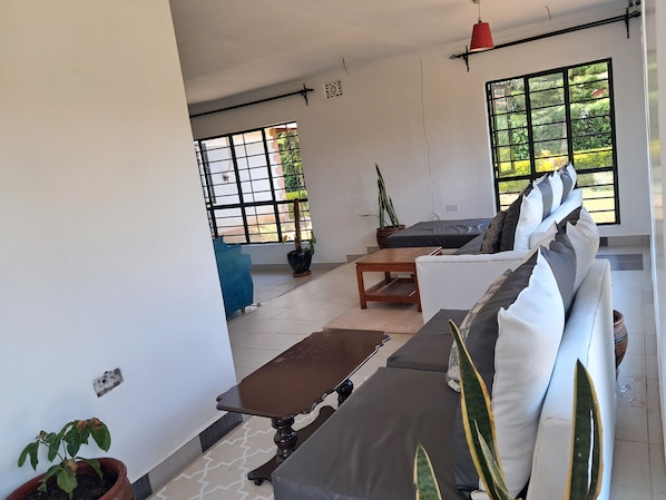 A modern living room with a sofa, a coffee table, and a potted plant.