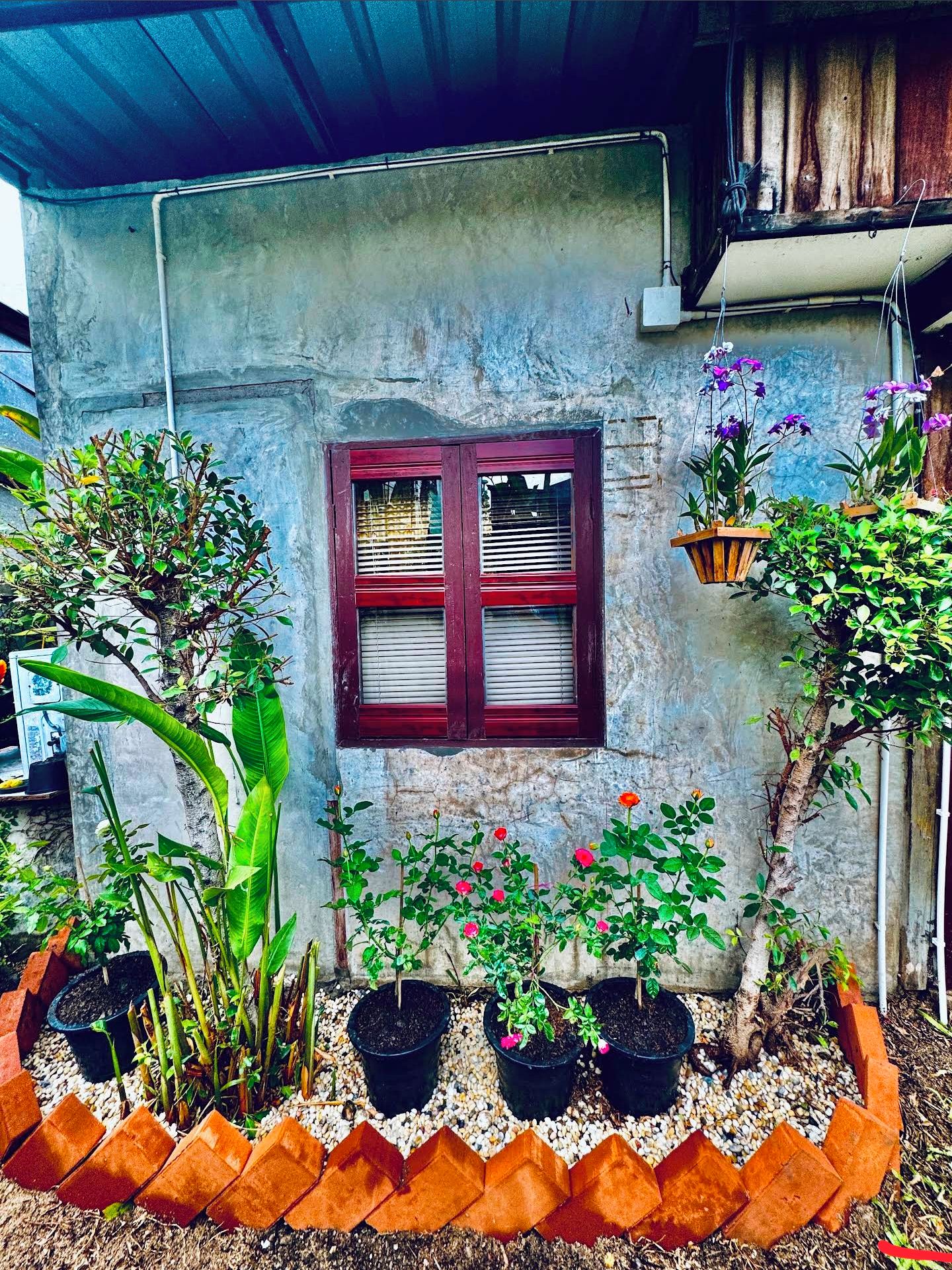 A rustic building with a window, potted plants, and a brick border.