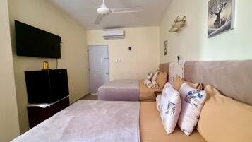 A hotel room with a bed, a flat-screen TV, a ceiling fan, an air conditioning unit, and a door.