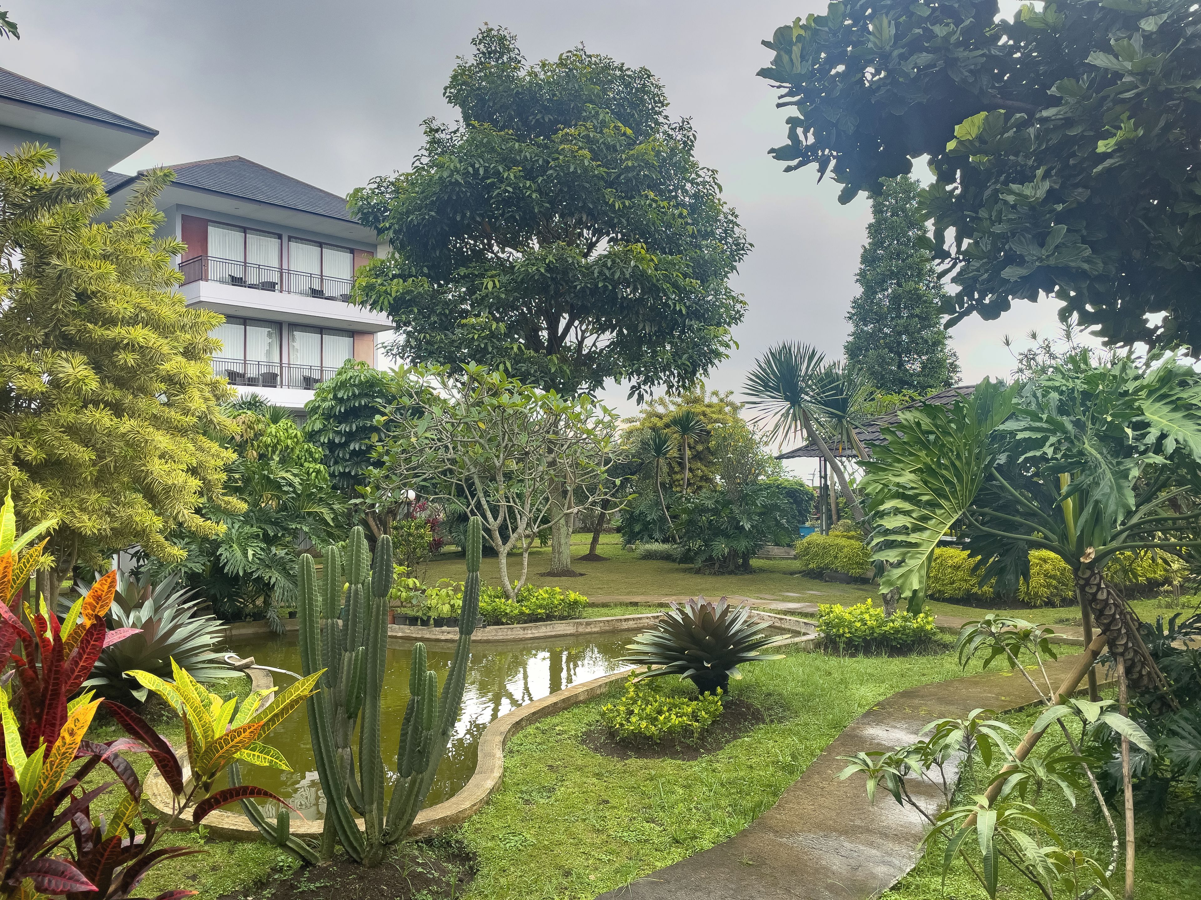 A garden with a pond, various plants, and a building with a balcony.