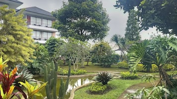A garden with a pond, various plants, and a building with a balcony.