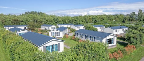 A cluster of modern, single-story houses with blue roofs and white walls, surrounded by lush greenery.