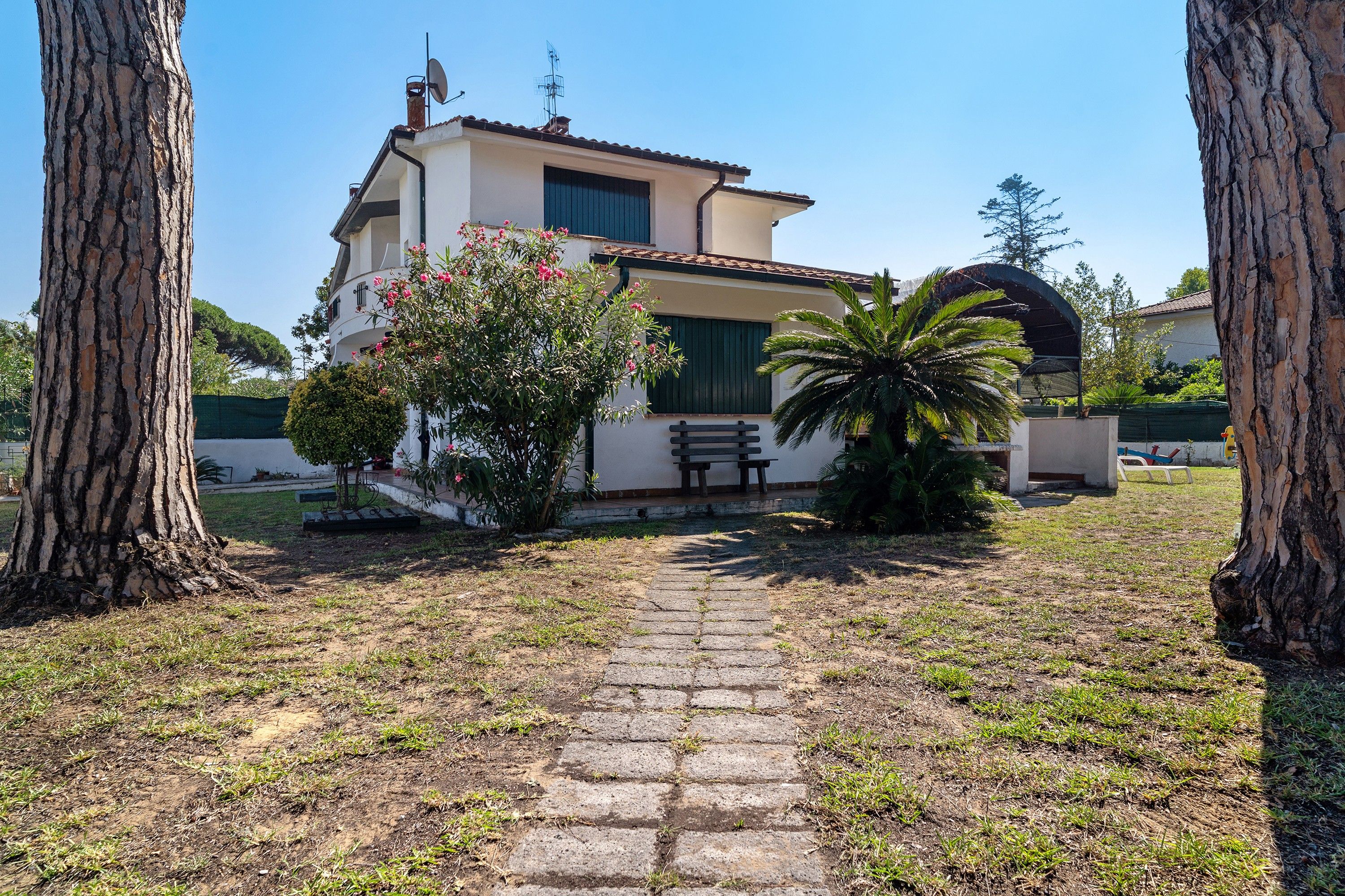 A house with a paved pathway leading to a bench, surrounded by trees and a palm plant.
