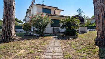 A house with a paved pathway leading to a bench, surrounded by trees and a palm plant.
