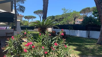 Ein Garten mit einer Palme und rosa Blüten, einer weißen Mauer und blauem Himmel.