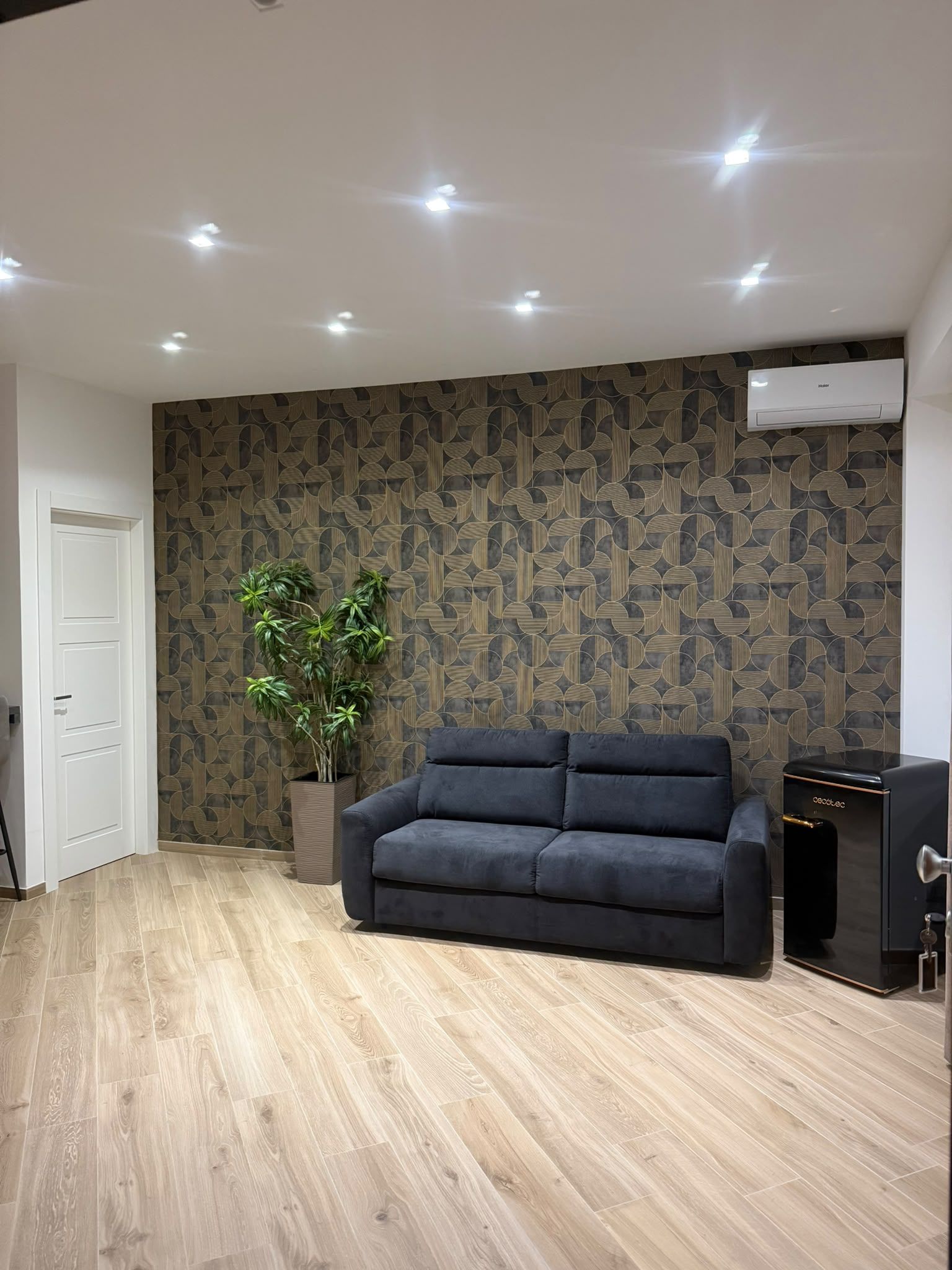 Un salon moderne avec un canapé foncé, une plante en pot et un mur orné d’un motif.