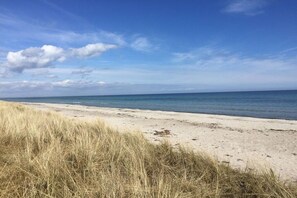 A beach with sand and grass in the foreground and a clear sky. - Holiday home with 1 bedroom (Marielyst \/ Bøtø)