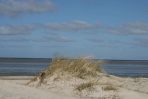 A beach with sand dunes and a clear sky. - Holiday home with 4 bedrooms (Wangerland)