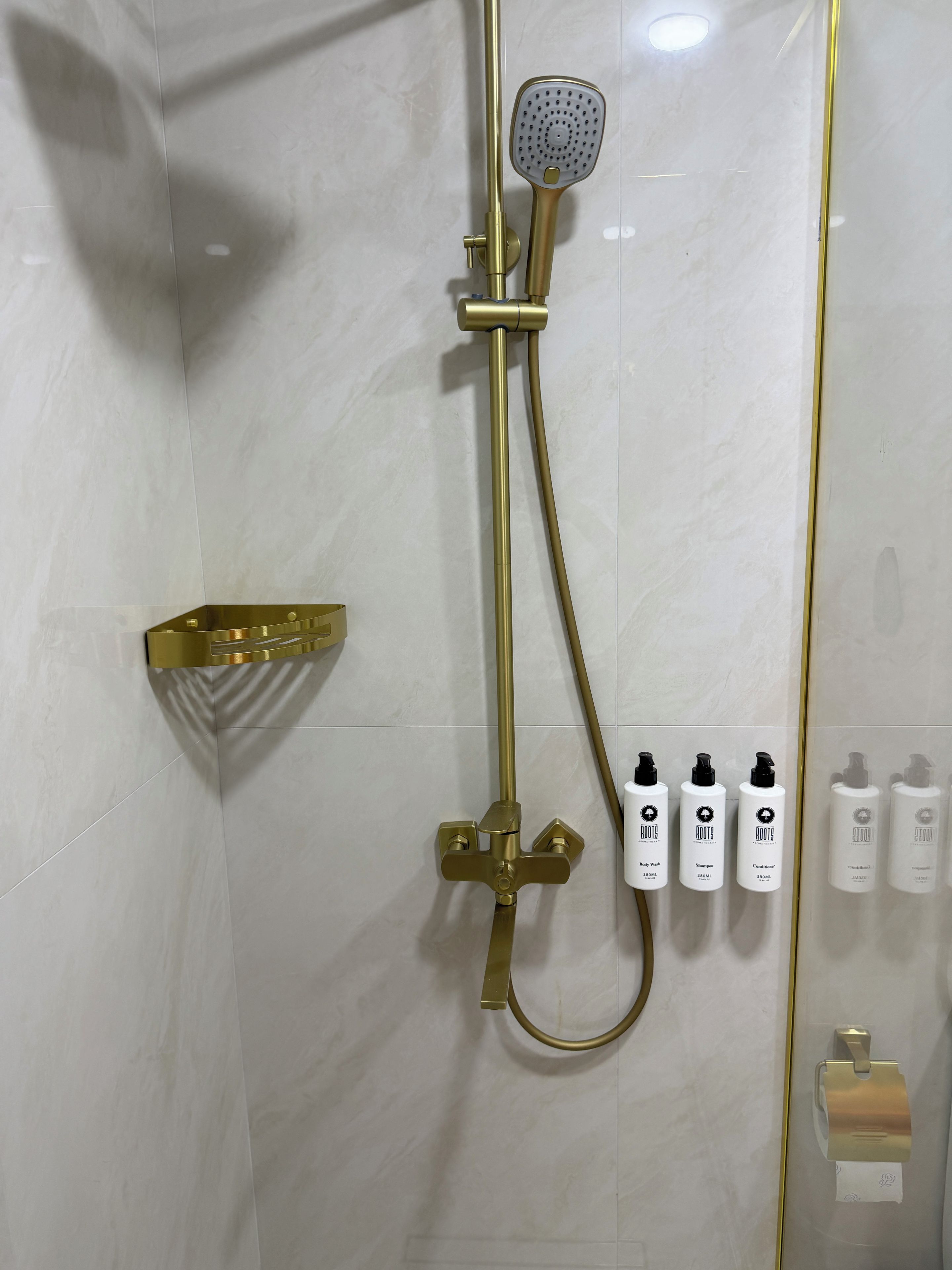 Eine Dusche mit goldfarbenen Armaturen, einem Handbrausekopf und einem an der Wand montierten Bedienfeld mit Pflegeprodukten.