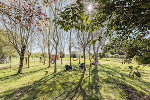 Um parque com árvores, grama e assentos externos.