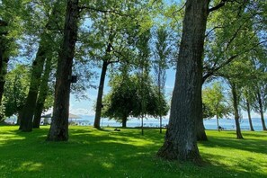 Ein Park mit hohen Bäumen und Blick auf das Wasser.