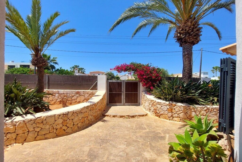 A paved pathway leading to a glass door entrance, flanked by stone walls and palm trees.