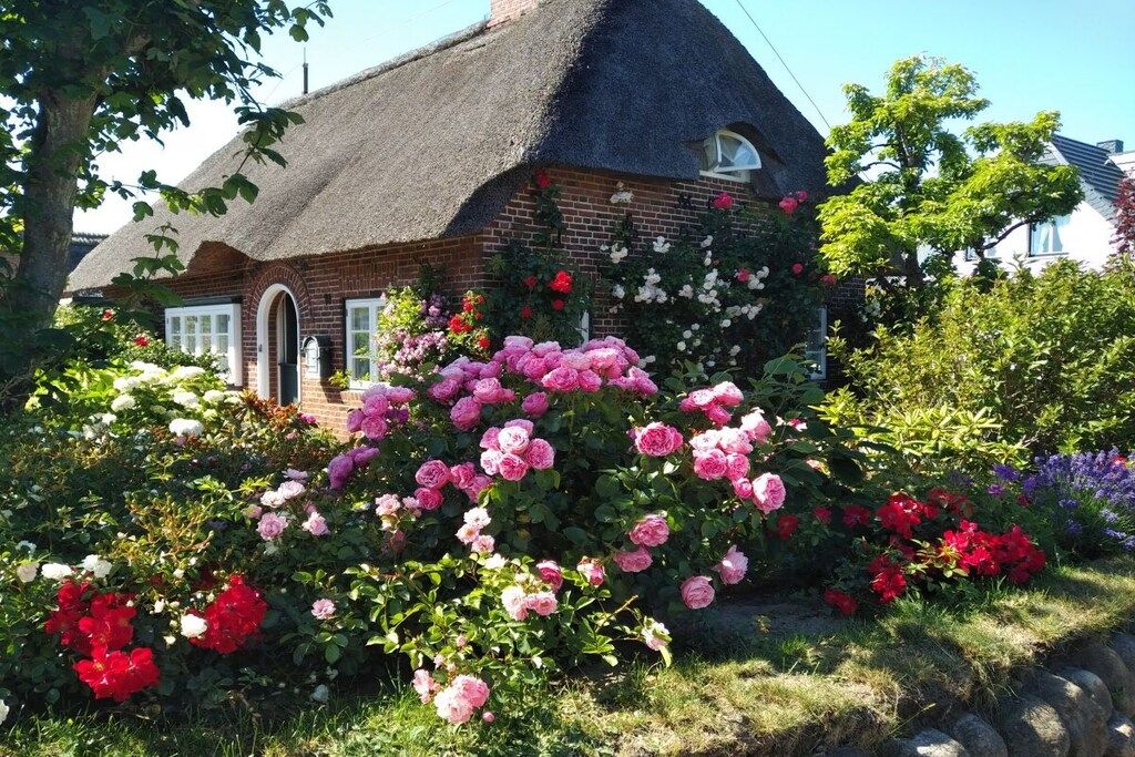 A brick house with a thatched roof, surrounded by a garden with various flowering plants.