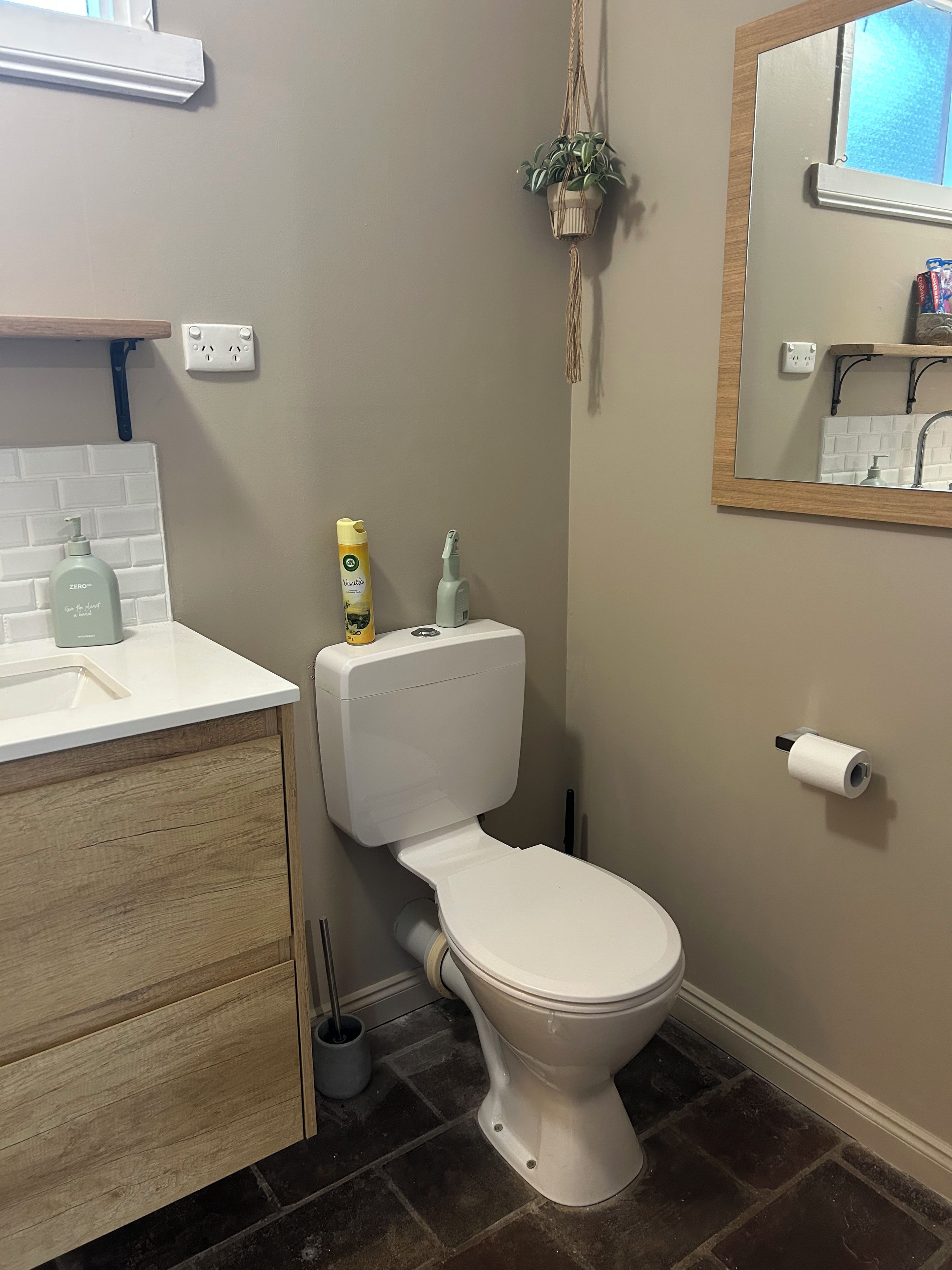 A bathroom with a toilet, a sink, a mirror, and a hanging plant.
