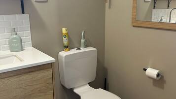 A bathroom with a toilet, a sink, a mirror, and a hanging plant.