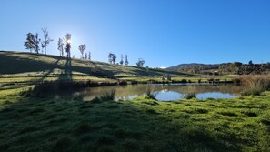 A serene landscape with a pond, grassy fields, and trees under a clear sky.