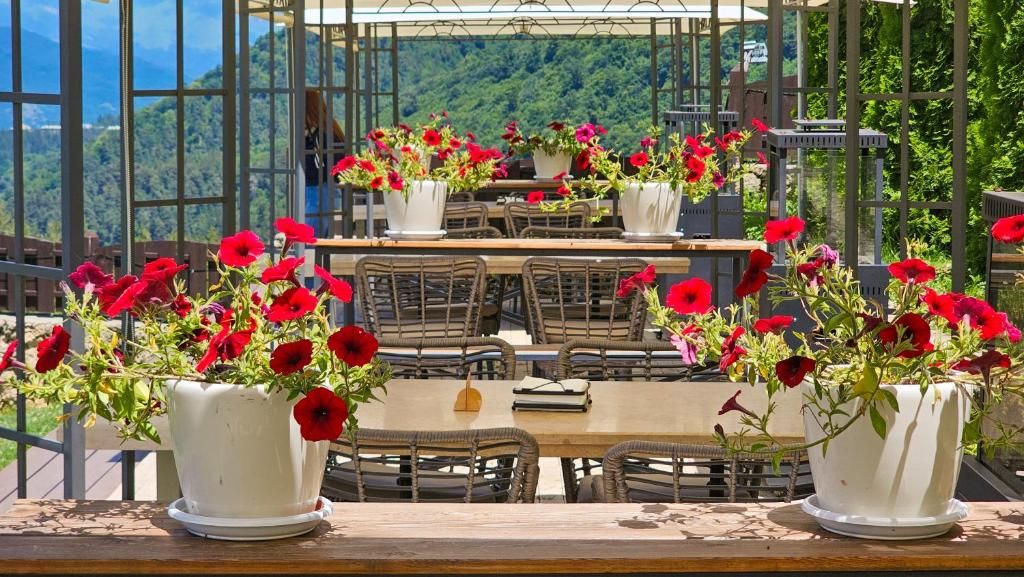 An outdoor dining area with tables and chairs, surrounded by large windows and potted plants with red flowers.