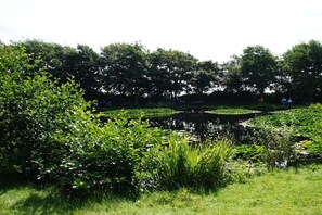 A natural landscape with a pond surrounded by dense greenery and trees. - Holiday apartment with 1 bedroom (Borkum)