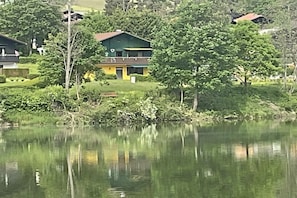 Ein Haus mit grüner Dachbegrünung, umgeben von Bäumen und einem Gewässer.